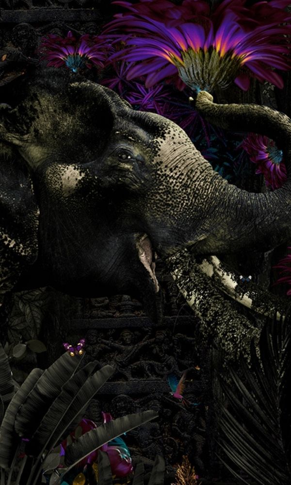 Violet Indian Elephant in The Forest Wallpaper Mural M1053