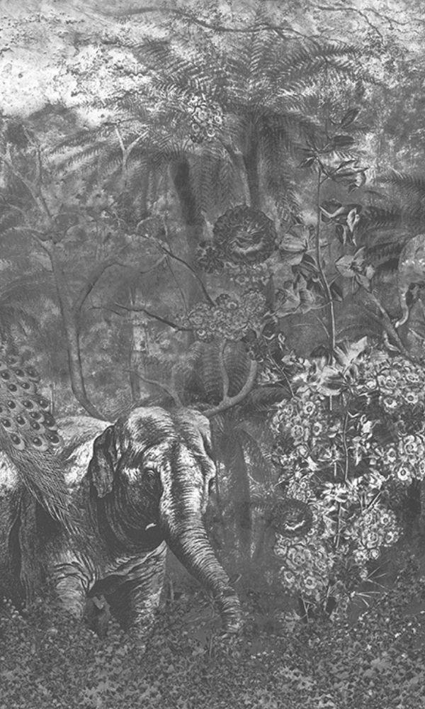 Grey Abstract Tropical Jungle Wallpaper Mural M1060-Sample