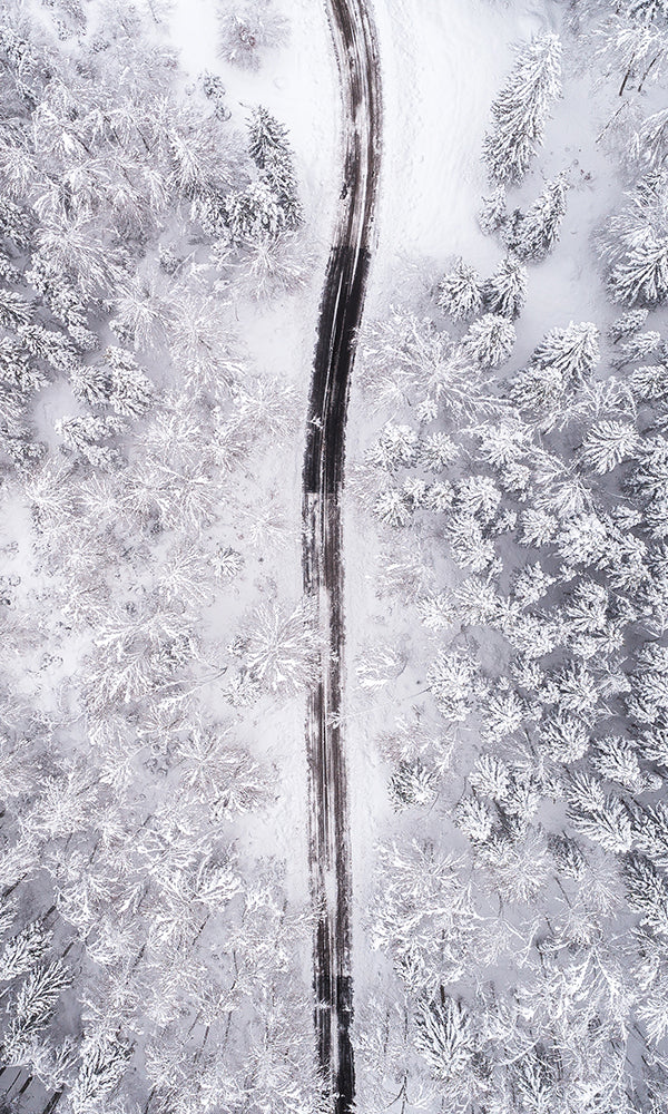 Driving Through a Winter Forest Mural M9404 | Digital Art Wallpaper