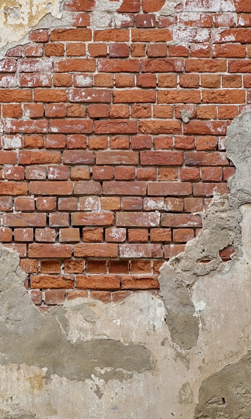 Brick Through Concrete Wall Mural M9324