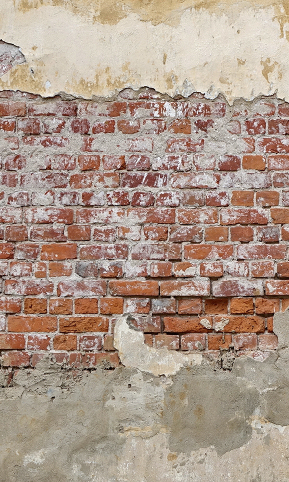 Brick Through Concrete Wall Mural M9324