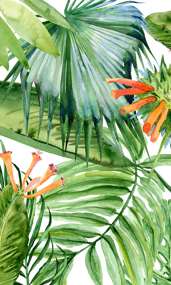 botanical tropical wallpaper
