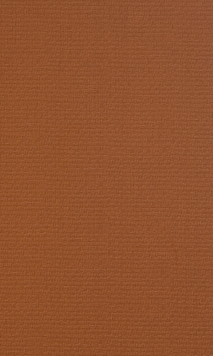 Mart Visser String Brown Wallpaper R2413