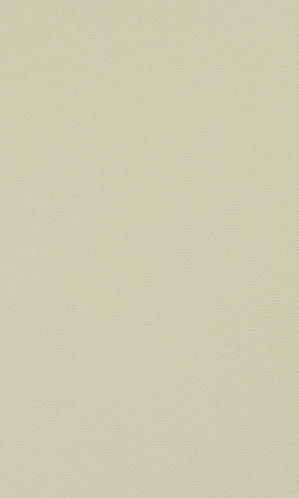 Matte Beige Plain Wallpaper SR1550