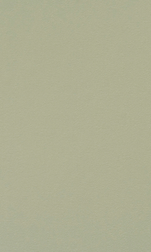 Matte Tan Plain Textured Wallpaper SR1552