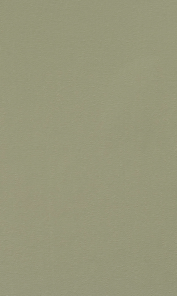 Matte Taupe Plain Wallpaper SR1549