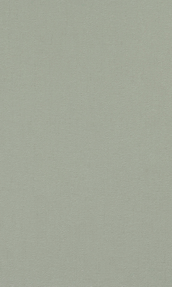Matte Warm Grey Plain Wallpaper SR1542