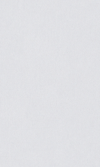 Minimalist Abalone Gray Textured Wallpaper C7282