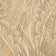 Beige (this color)
