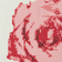 Passion Pink
