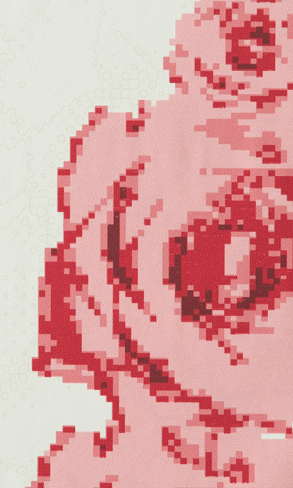 Passion Pink Contemporary Rose Wallpaper SR1765