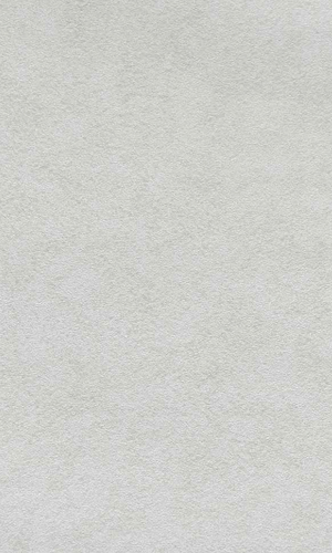 Plain Smooth Grey Wallpaper R2505