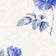Beige and Blue