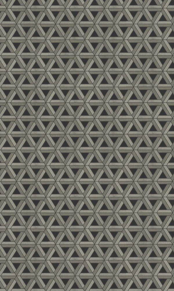 Black & Champagne Fibrous Web Geometric Wallpaper R7389