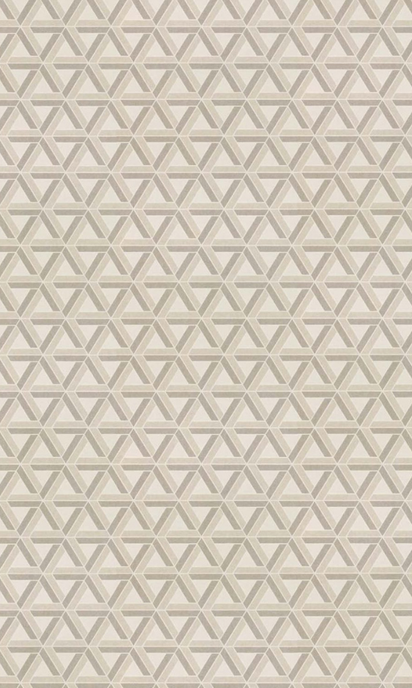 Off-White & Champagne Fibrous Web Geometric Wallpaper R7390