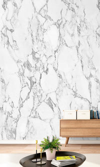 White Monochrome Photographic Marble Digital Print Wallpaper RM2003