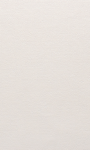 Seed White Plain Textured Wallpaper R1273