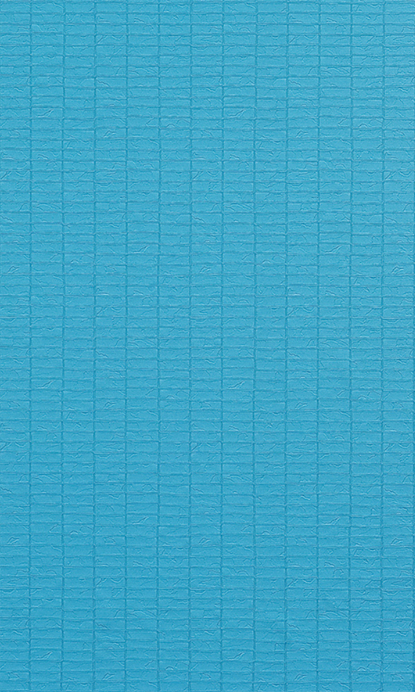 Strength Dim Texture Wallpaper SR1673