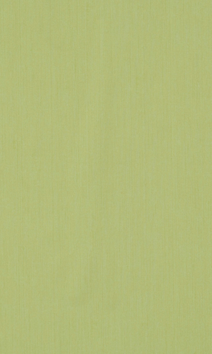 Stroke Green Elegant Textured Wallpaper R1098