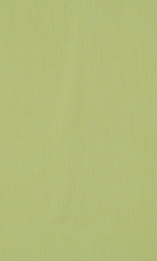 Stroke Green Elegant Textured Wallpaper R1098