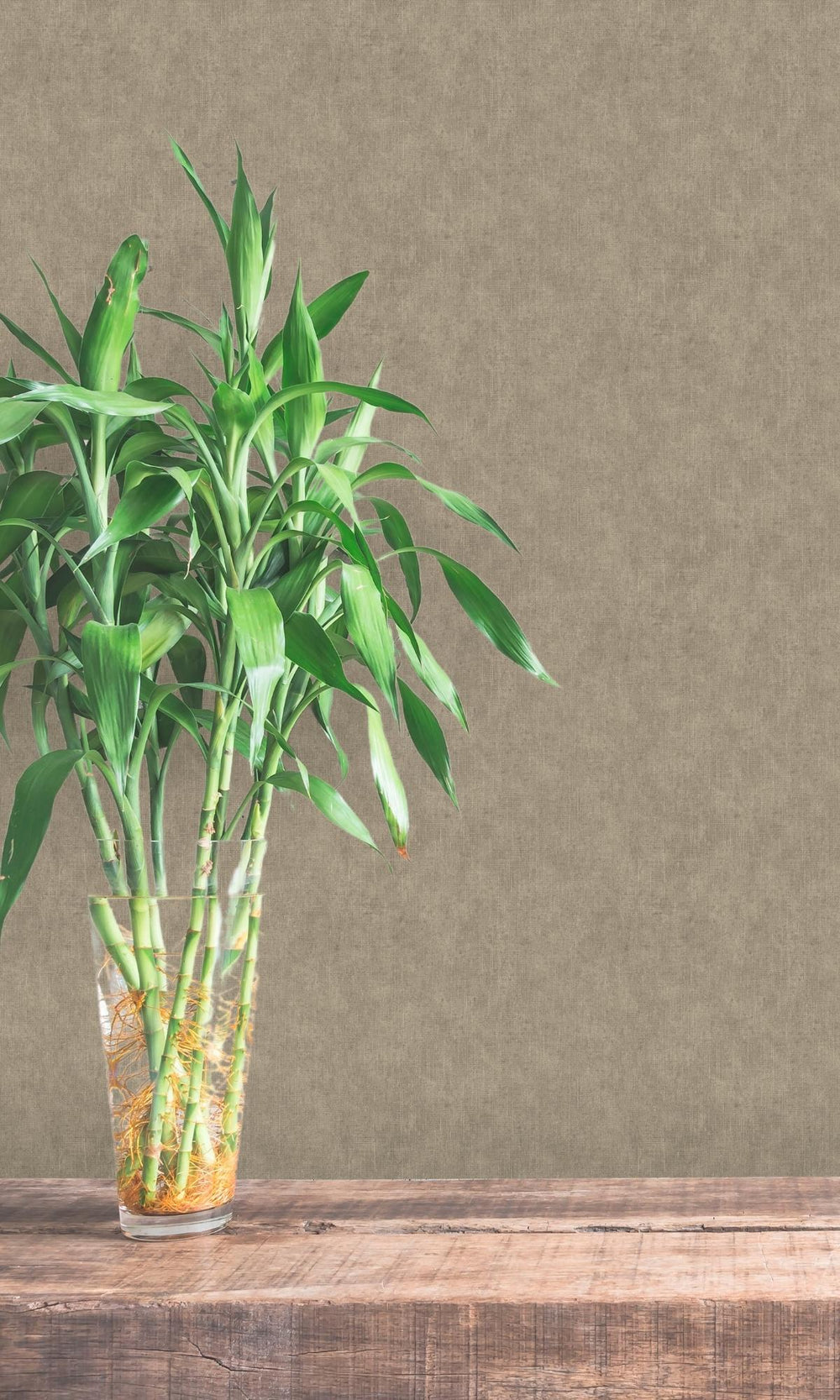 Taupe Grasscloth-like Natural Wallpaper R7898