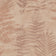 Terracota
