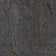 Charcoal and Gold (this color)