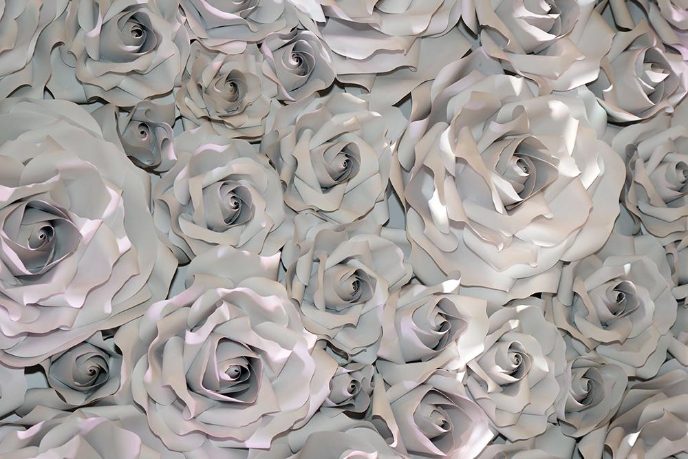 3D Sculpted Roses Wall Mural M9328