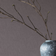 Dark Grey Plain (this color)