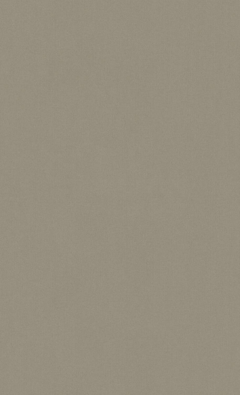 Minimalist Taupe Wallpaper C7285 | Commercial and Hospitality