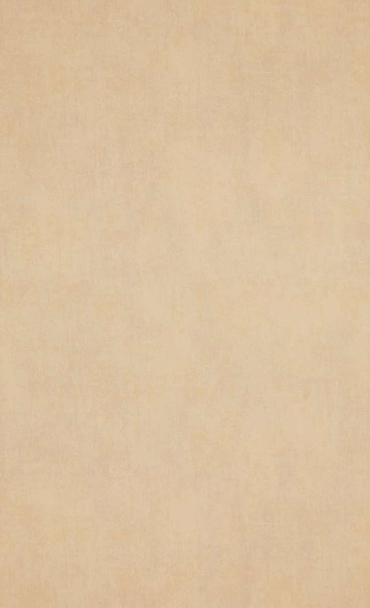 Weathered Textured Wallpaper R5236