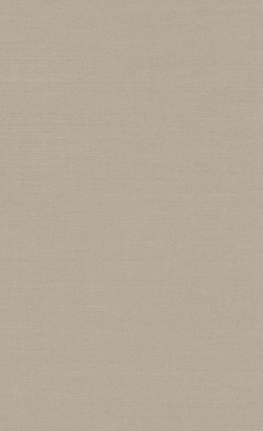 Pin by  on Ideeën  Pastel color background Brown plain background  pastel Plain brown wallpaper aesthetic