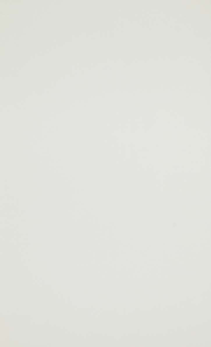 Minimalist Mosaic R5263