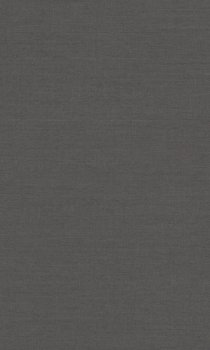 Charcoal Grey Minimalist Textured Vinyl Wallpaper C7255