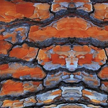 Orange Stone Alloy Mural Wallpaper M8928 - Sample
