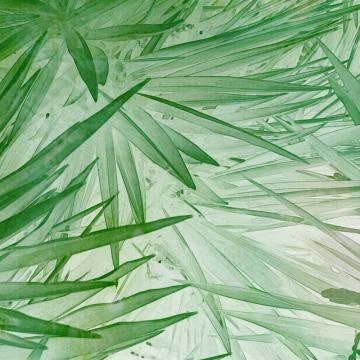 Green Fresh Leaves Digital Wallpaper M9311. digital wallcovering.