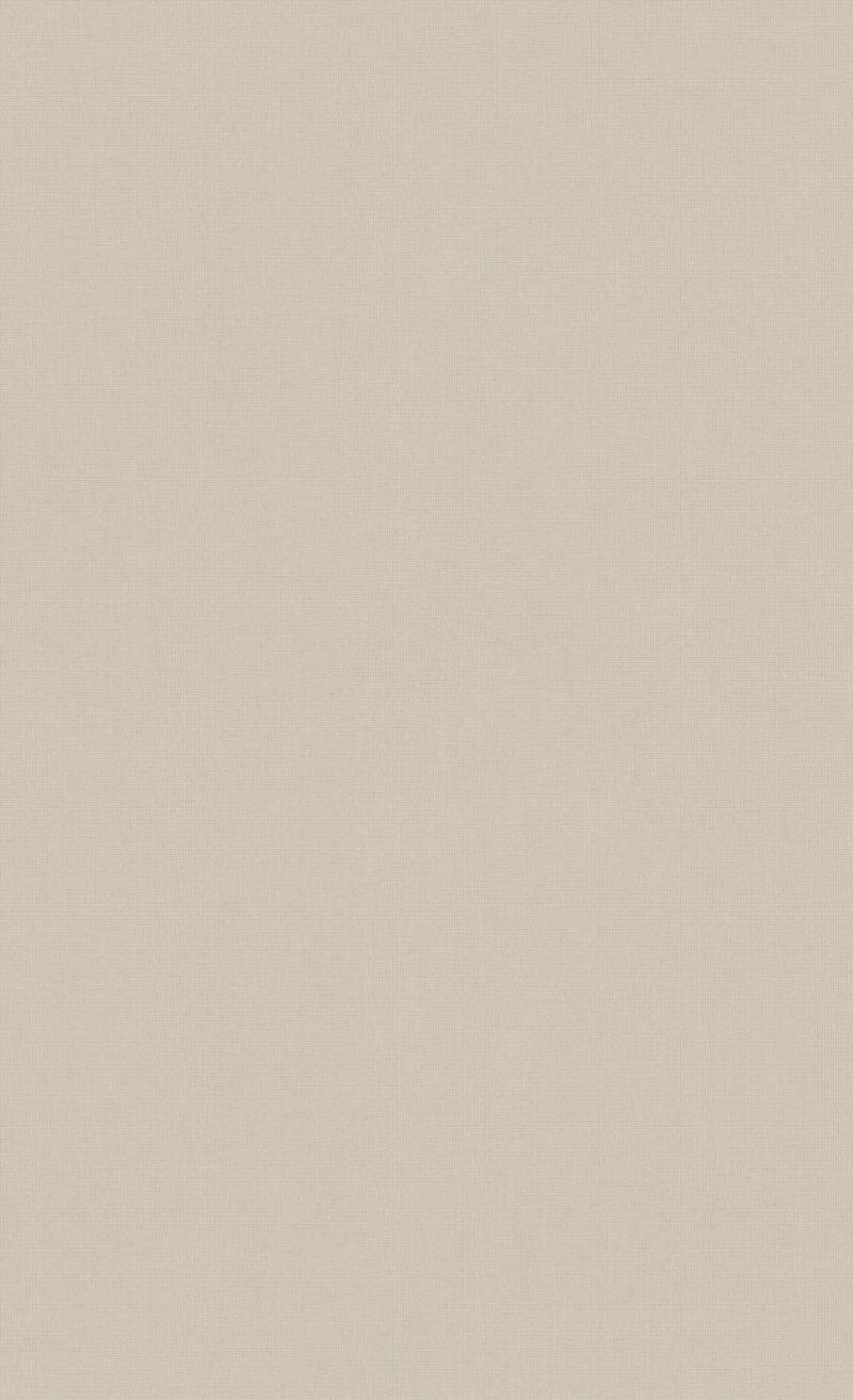 Ash Gray Minimalist Wallpaper C7276 | Commercial and Hospitality 