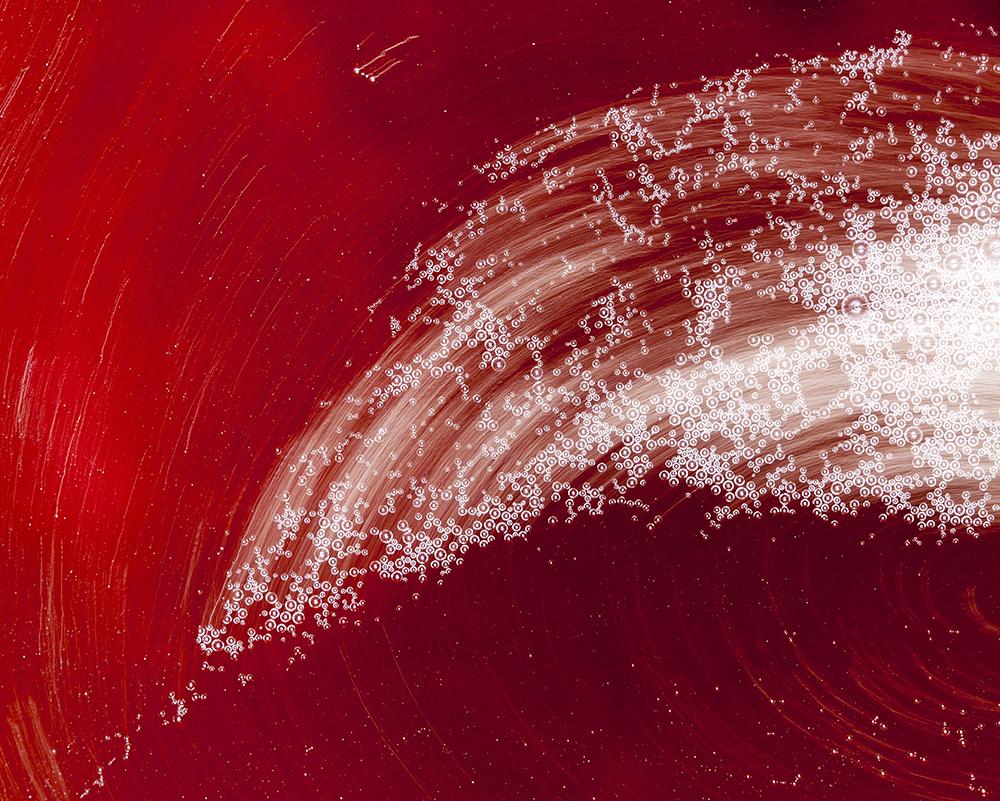 Red Abstract Bold Sweep Mural Wallpaper M9332 - Sample