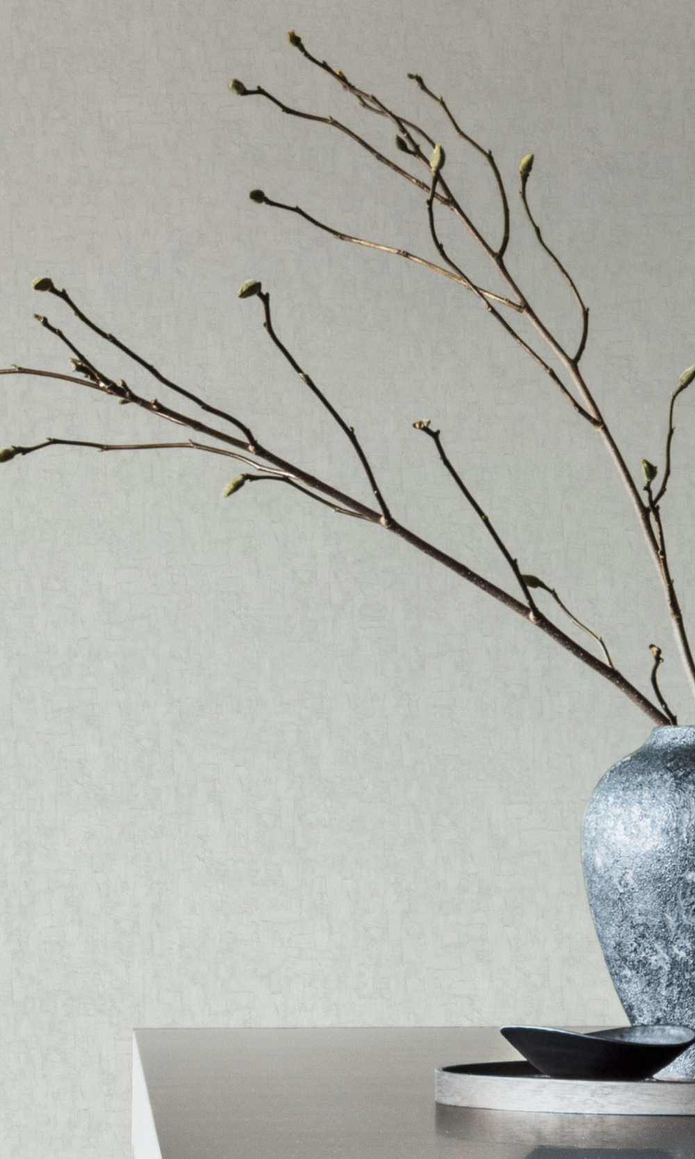 Ash Grey Textured Paint Plain  Wallpaper  R2772