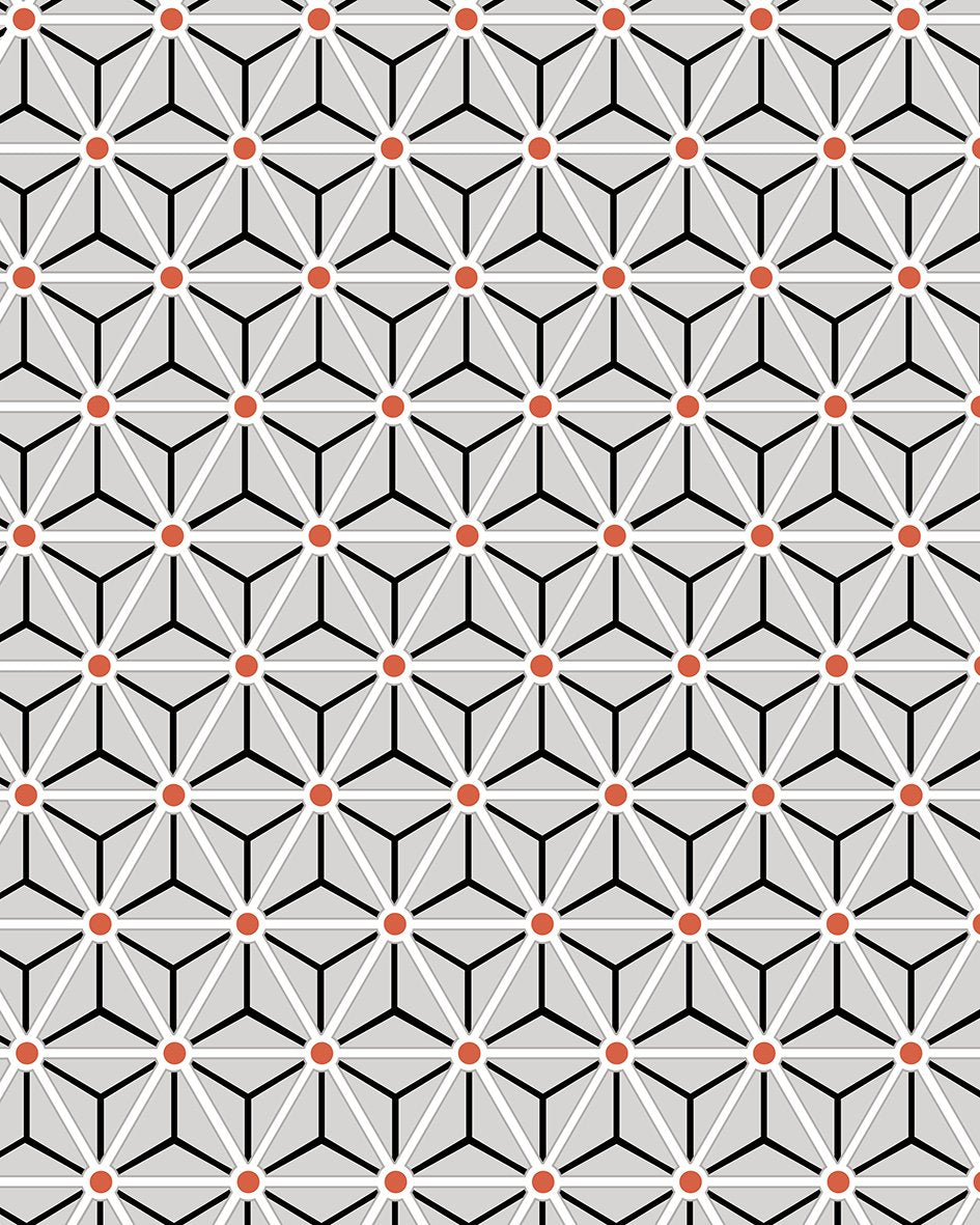 Hexagonal Minimalist Geometric Wall Mural M9284