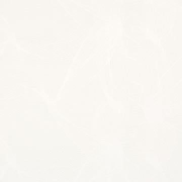 Rising White SR1642