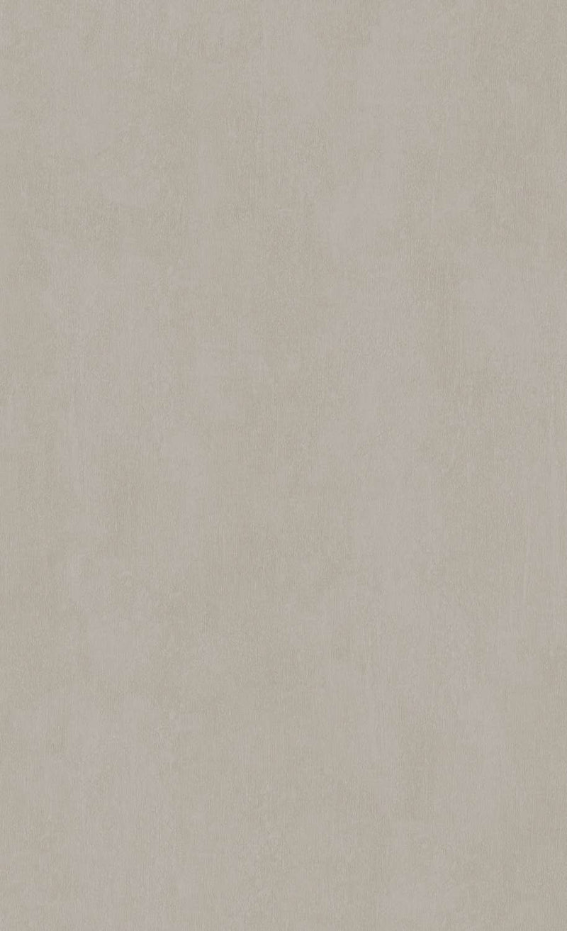 Ash Grey Minimalistic Textured Commercial Wallpaper C7344