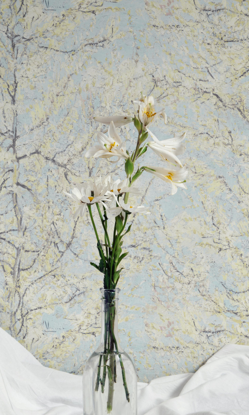 vangogh inspired wallpaper