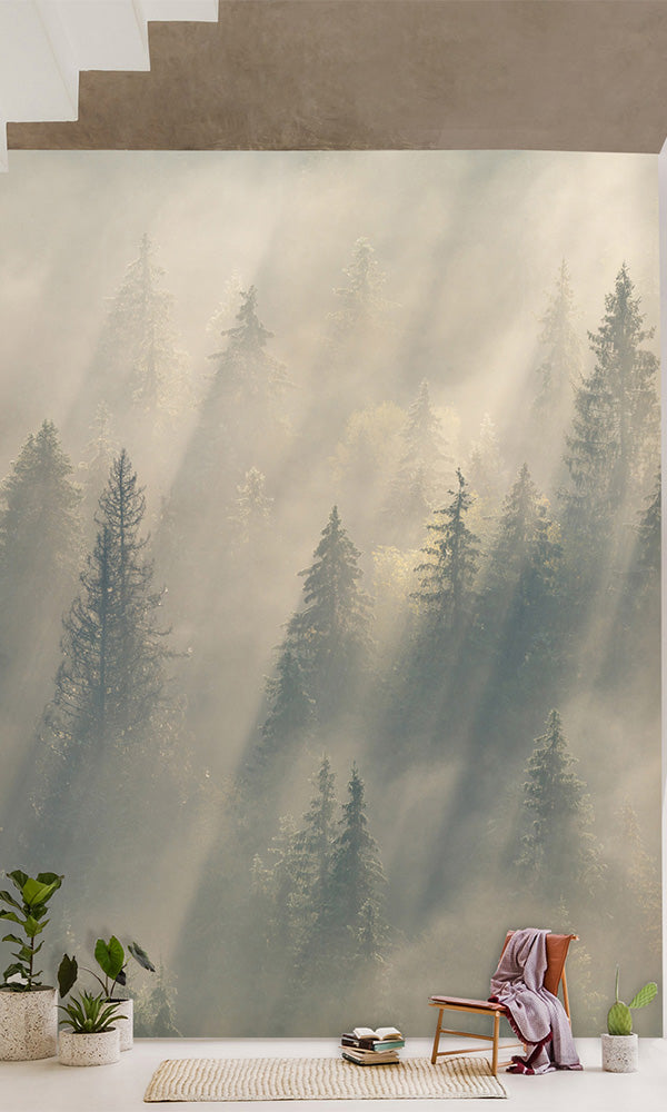 forest fog office wallpaper
