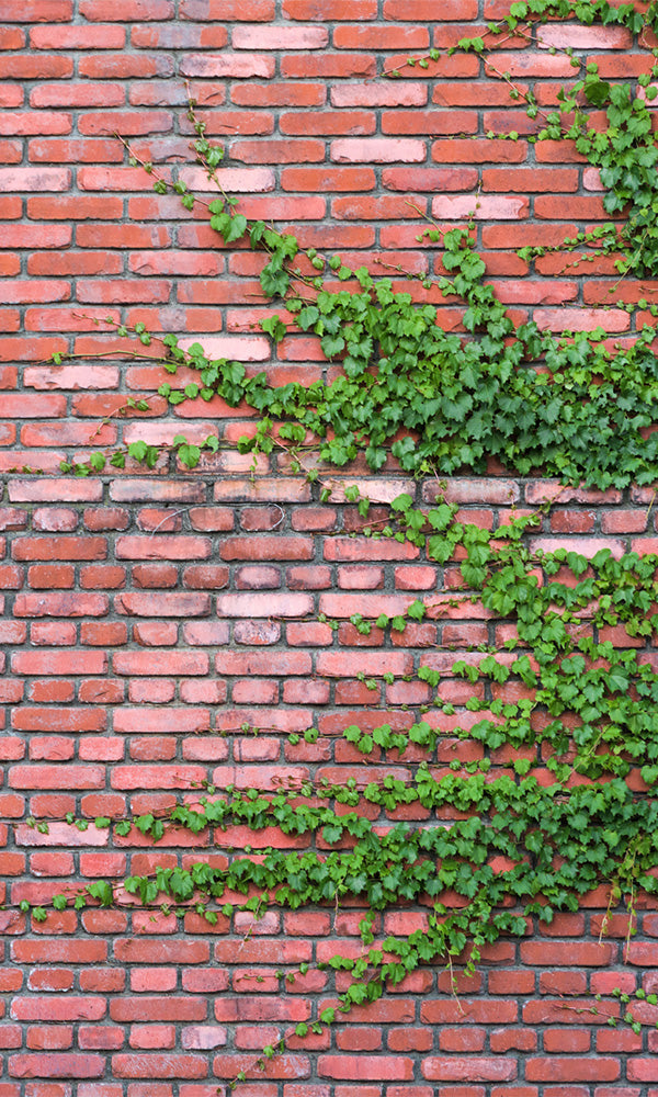 Brick Red Overgrowth Mural SM9954- Sample