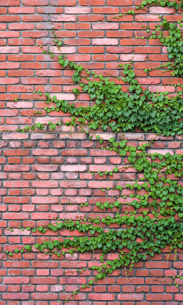Brick Red Overgrowth Mural SM9954