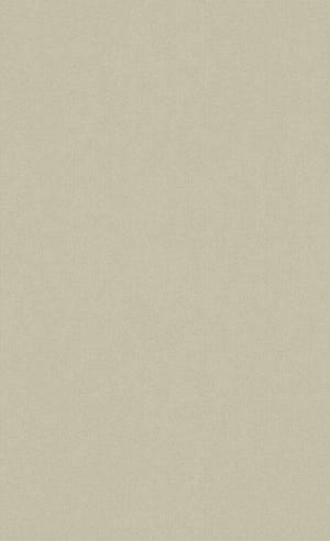 Minimalist Smoke Gray Wallpaper C7289 |  Commercial and Hospitality