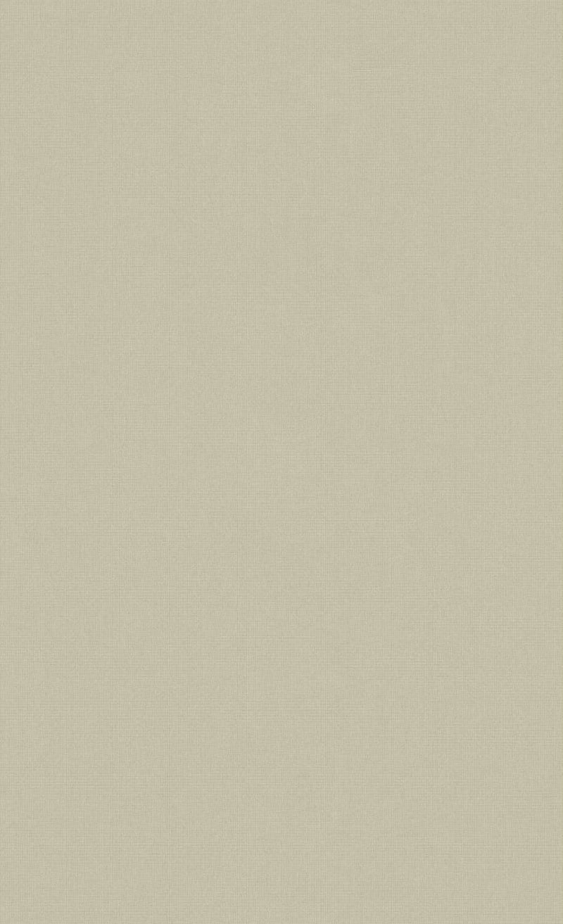 Minimalist Smoke Gray Wallpaper C7289 |  Commercial and Hospitality