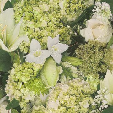 Green Botanist R2950