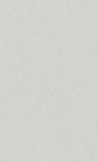 Ash Gray Plain Commercial Wallpaper C7222 | Office & Hotel